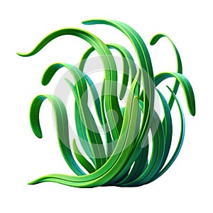 3d icon Eelgrass Isolated on white background,sea plant concept