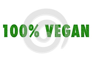 3d Illustration 100% Vegan word made with green grass pattern. Concept message Ecologist Save the earth