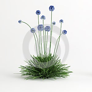 3d illustration of allium caeruleum