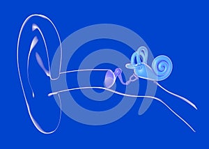 3d illustration of the anatomy of the transparent and glass inner ear.