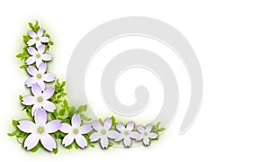 3d illustration. Bouquet of flowers isolated on lilac background