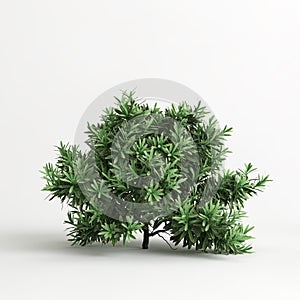 3d illustration of callistemon citrinus little john bush isolated on white background