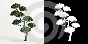 3d illustration of Carmona microphylla bonsai isolated on white and its mask