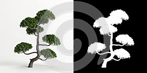 3d illustration of Carmona microphylla bonsai isolated on white and its mask