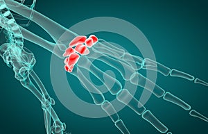 3D illustration of Carpal, medical concep