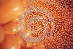 3D illustration close-up Intestinal villi. Intestine lining. Microscopic villi and capillary. Human intestine. Concept