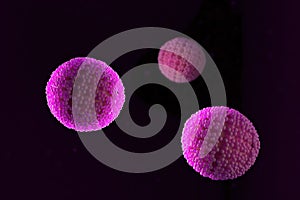 3d illustration, close up of microscope Papilloma Virus