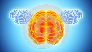 3D illustration of conceptual bright orange and blue brain.