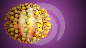 3d illustration of corona virus anatomy system