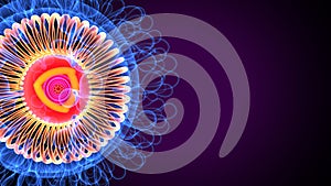 3d illustration of corona virus anatomy system