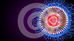 3d illustration of corona virus anatomy system