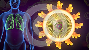 3d illustration of corona virus anatomy system