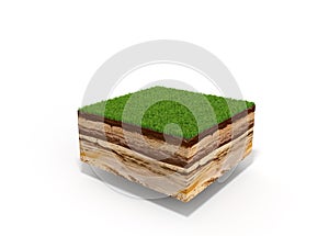 3d illustration of cross section of ground with grass isolated o