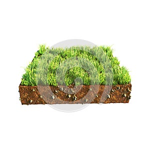 3d illustration of cross section of ground with grass isolated on white