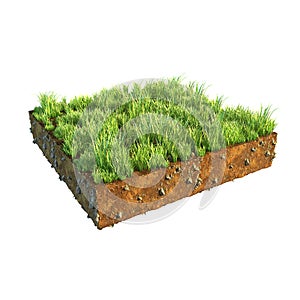 3d illustration of cross section of ground with grass isolated on white