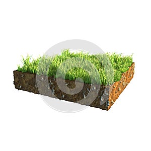 3d illustration of cross section of ground with grass isolated on white