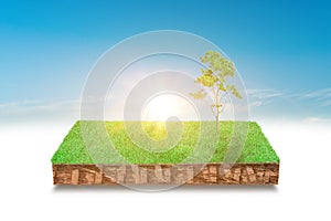 3d illustration of cubical soil slice, green grass