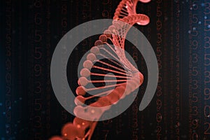 3d Illustration of DNA molecule. The helical red molecule of a nucleotide in organism like in space. Concept genome