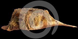 3d illustration of dry tree stump isolated on black background