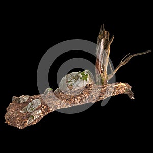 3d illustration of dry tree stump isolated on black background