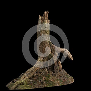 3d illustration of dry tree stump isolated on black background