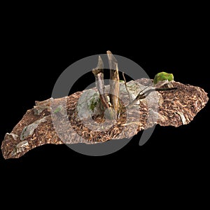 3d illustration of dry tree stump isolated on black background