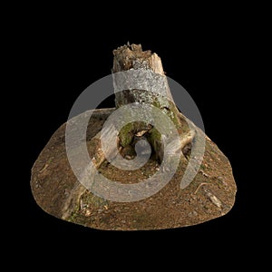 3d illustration of dry tree stump isolated on black background