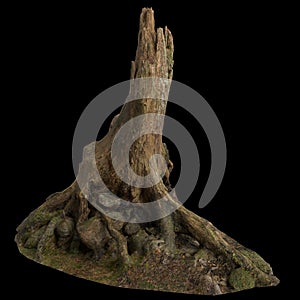 3d illustration of dry tree stump isolated on black background