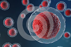 3D illustration egg cells embryo. Embryo cells with red nucleus in center. Human or animal egg cells. Medicine