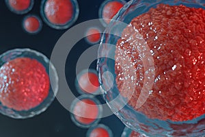 3D illustration egg cells embryo. Embryo cells with red nucleus in center. Human or animal egg cells. Medicine