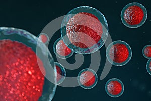 3D illustration egg cells embryo. Embryo cells with red nucleus in center. Human or animal egg cells. Medicine