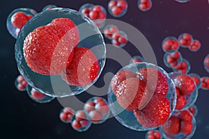 3D illustration egg cells embryo. Embryo cells with red nucleuses in center. Human or animal egg cells. Medicine