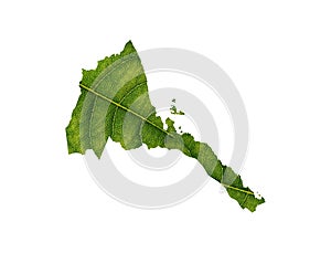 3D illustration of Eritrean map made of green leaf on white background - concept of ecology