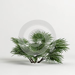 3d illustration of fan palm trees isolated on white background