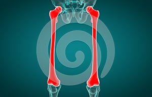 3D illustration of Femur xray