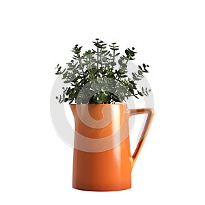 3d illustration of flower vase isolated on white background