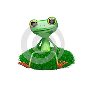 3D Illustration of a Frog on a Green Lawn