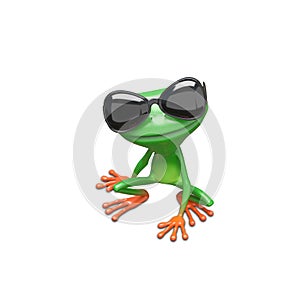 3D Illustration Frog Wearing Sunglasses Sitting