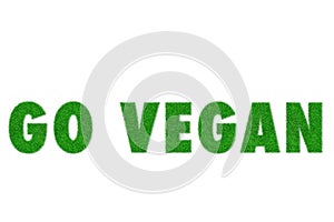 3d Illustration Go Vegan word made with green grass pattern. Concept message Ecologist Save the earth