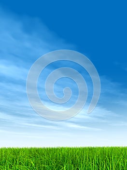 3D illustration of a green, fresh and natural grass field or lawn, blue sky background