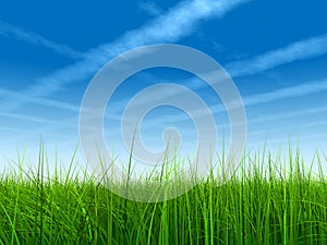 3D illustration of a green, fresh and natural grass field or lawn, blue sky background