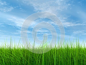 3D illustration of a green, fresh and natural grass field or lawn, blue sky background