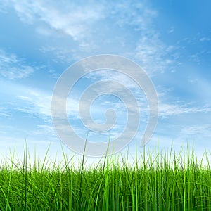 3D illustration of a green, fresh and natural grass field or lawn, blue sky background