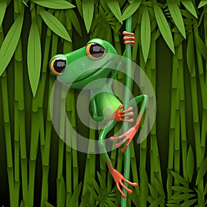 3D Illustration of a Green Frog on a Liana on a Jungle Background