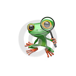 3D Illustration Green Frog with Magnifier