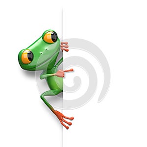 3D Illustration Green Frog with White Background