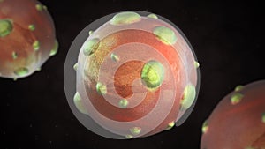 3D illustration of hantavirus virus