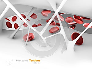 3d Illustration of heart strings Tendons, inside the human heart