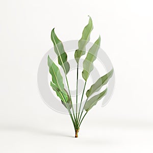 3d illustration of heliconia tree isolated on white background