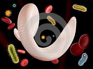 3d Illustration of helminth with virus and blood cells.